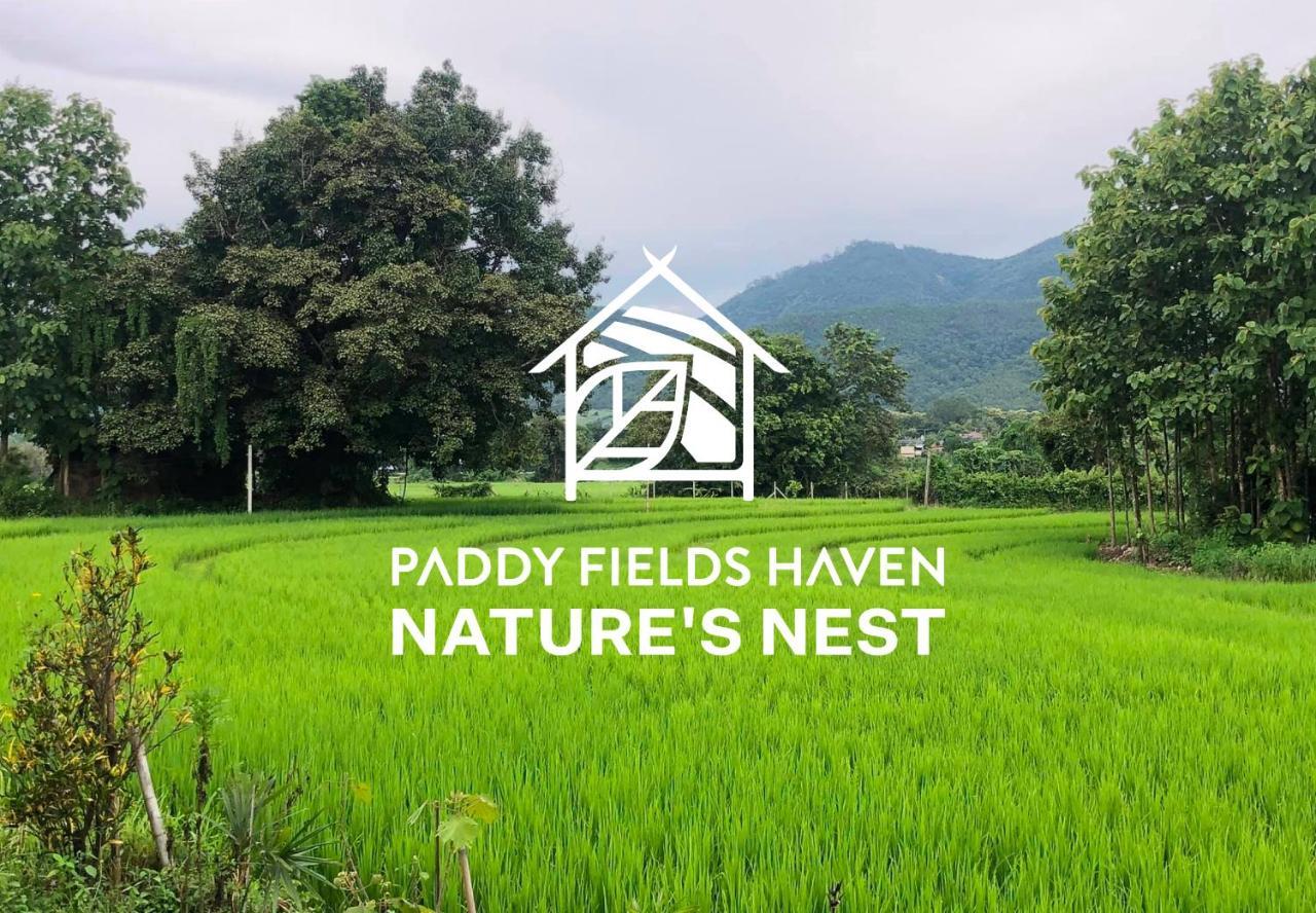 Hotel Paddy Fields Haven - Natures Nest à Pai Extérieur photo