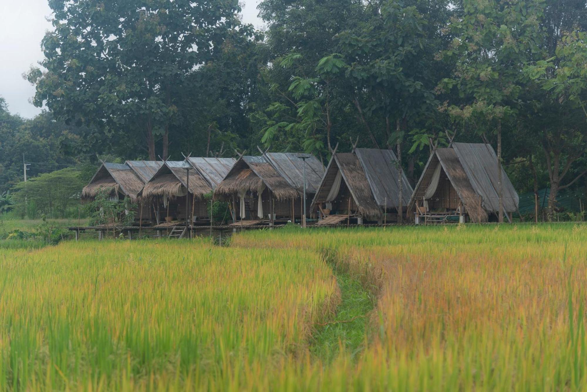 Hotel Paddy Fields Haven - Natures Nest à Pai Extérieur photo