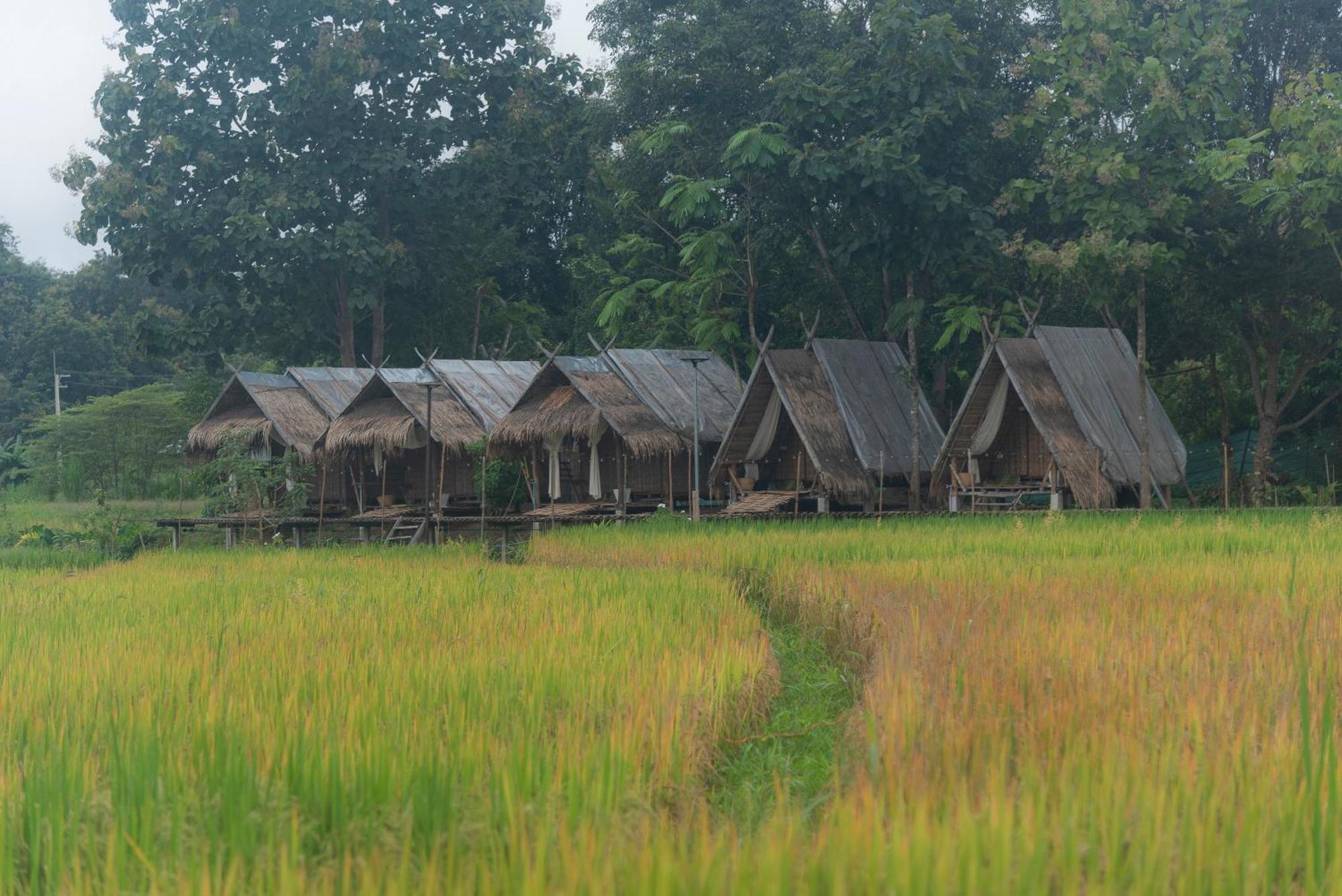 Paddy Fields Haven - Natures Nest Pai Extérieur photo