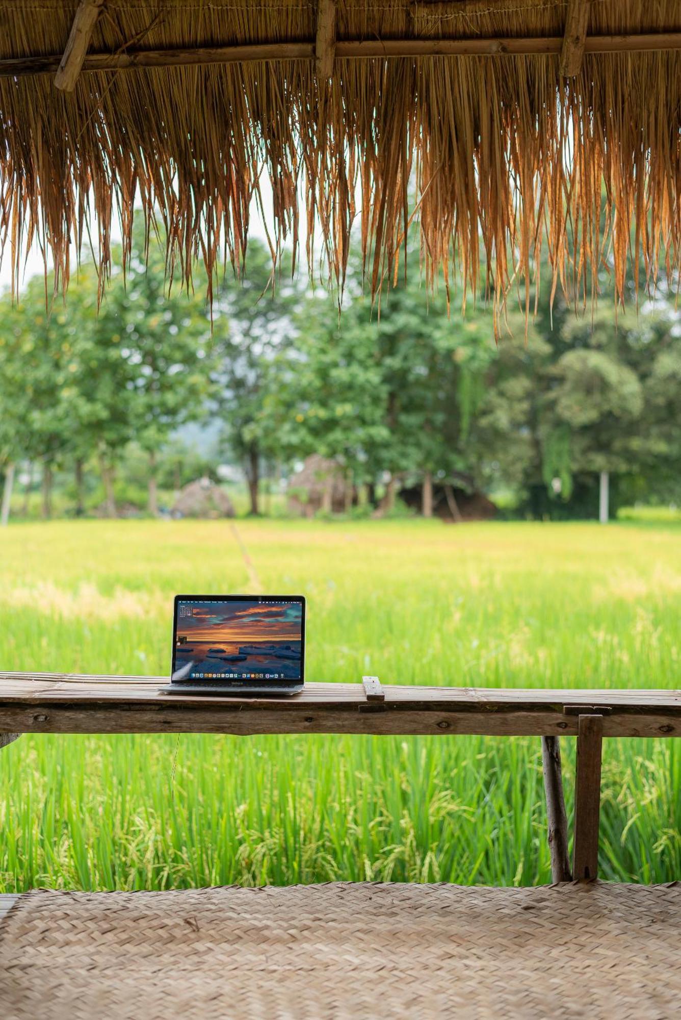 Hotel Paddy Fields Haven - Natures Nest à Pai Extérieur photo