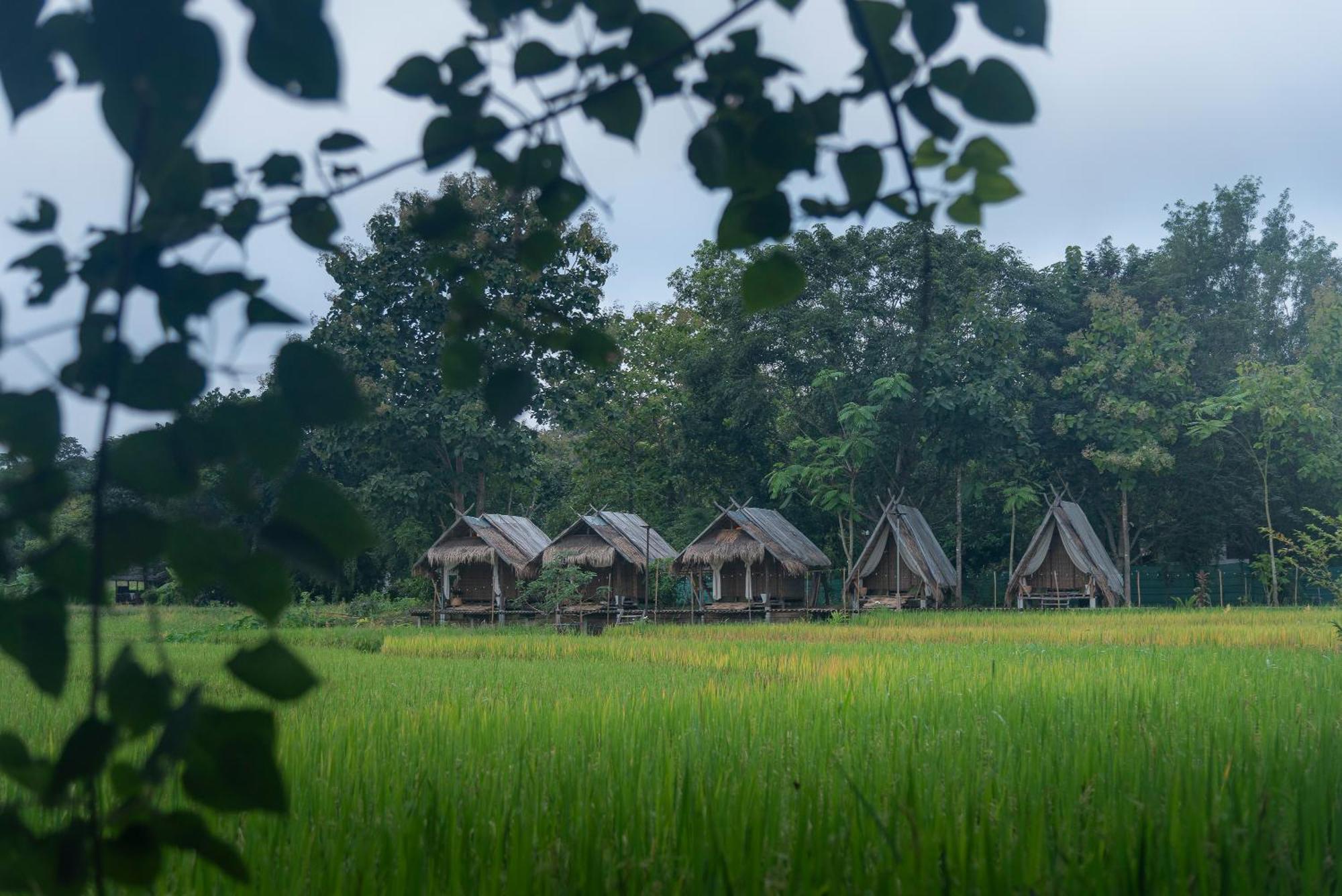 Hotel Paddy Fields Haven - Natures Nest à Pai Extérieur photo