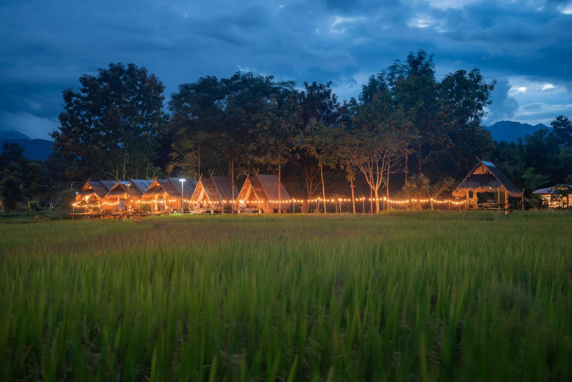 Hotel Paddy Fields Haven - Natures Nest à Pai Extérieur photo