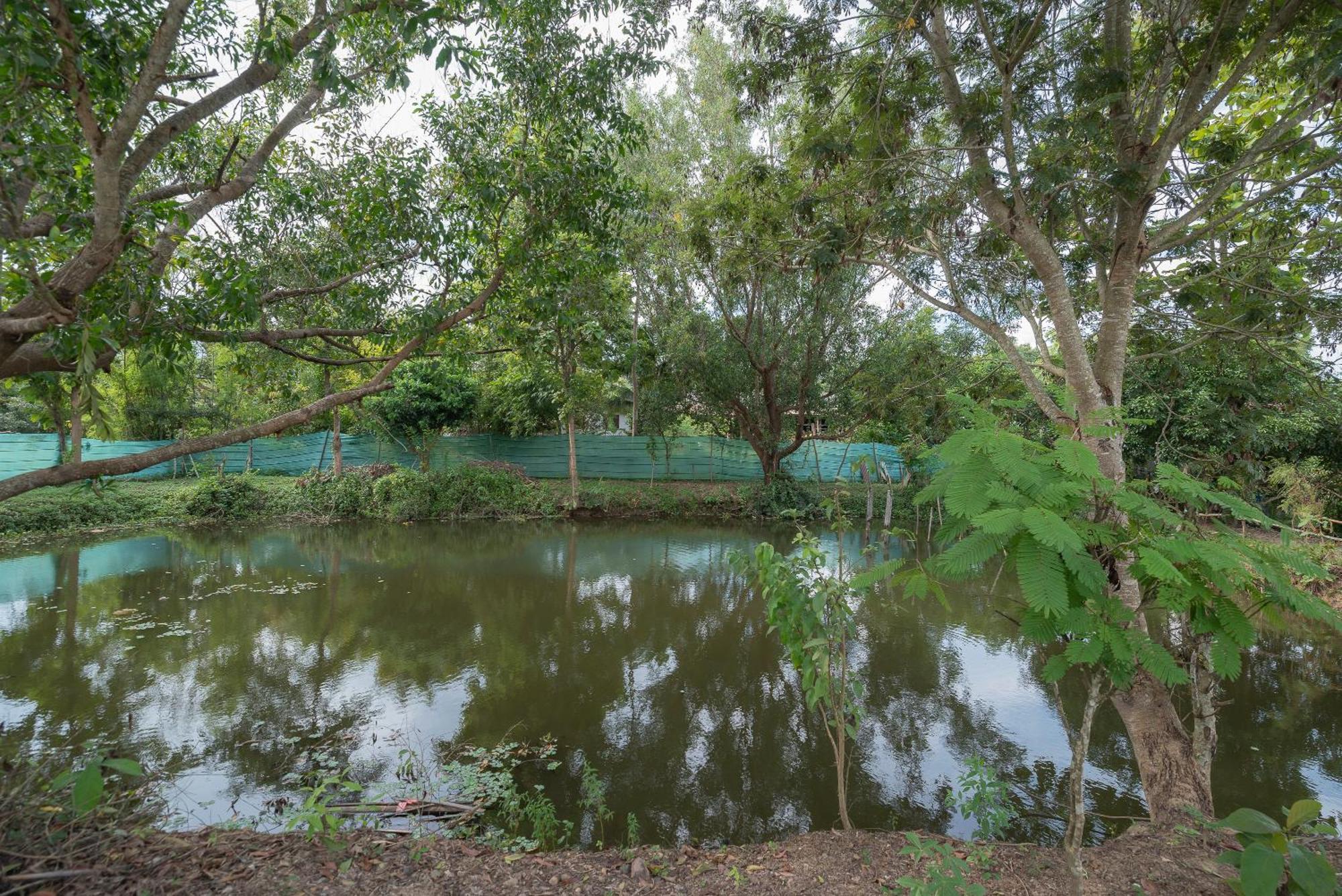 Hotel Paddy Fields Haven - Natures Nest à Pai Extérieur photo