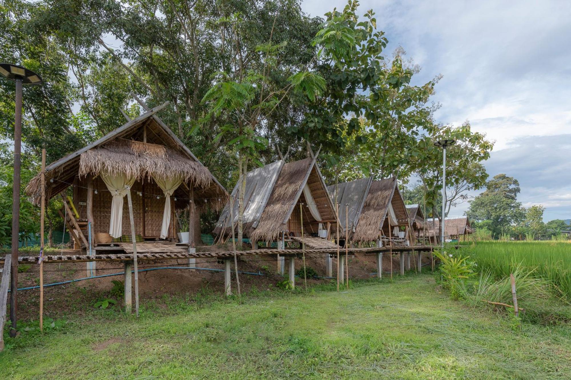 Hotel Paddy Fields Haven - Natures Nest à Pai Extérieur photo