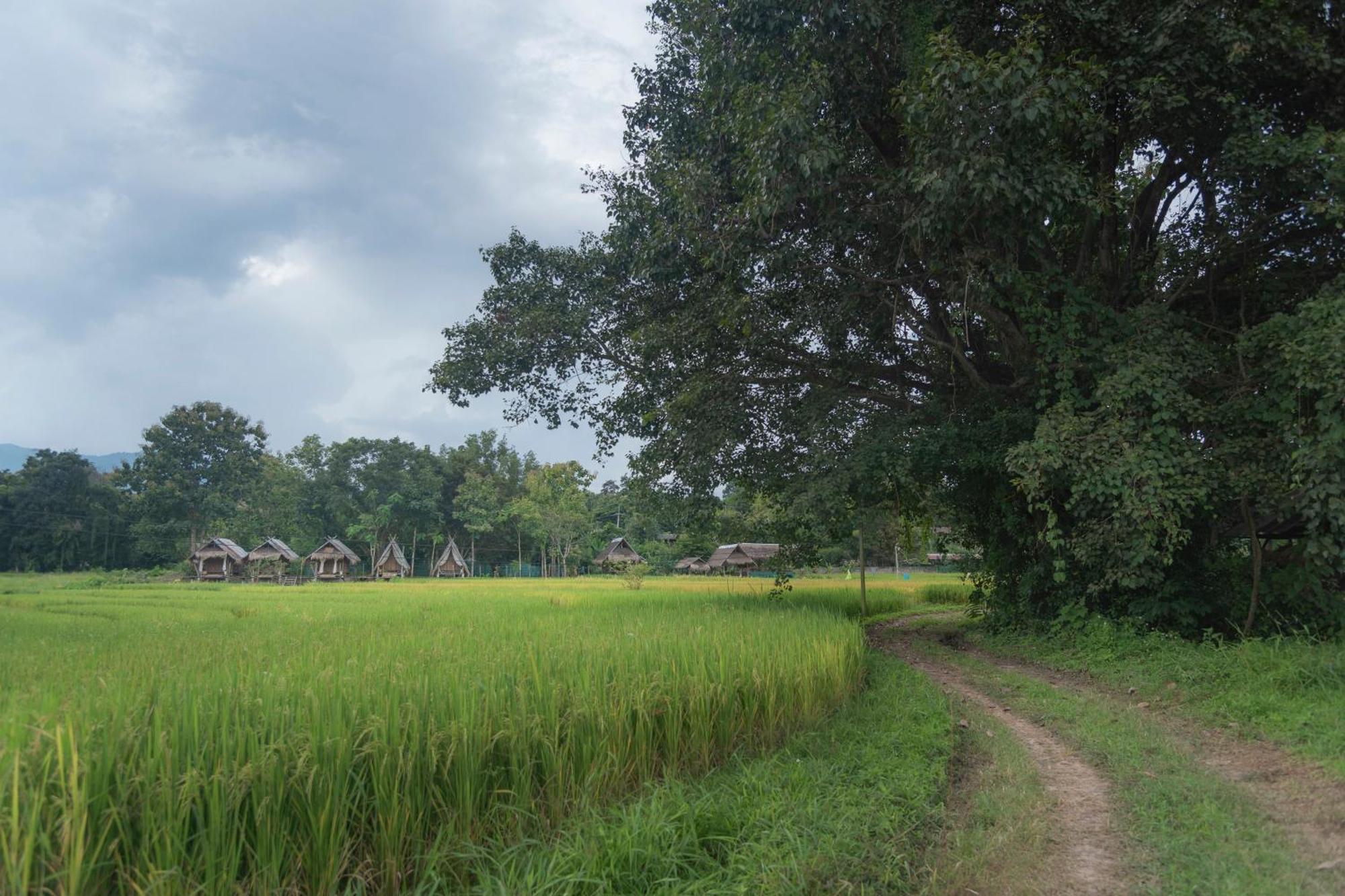 Hotel Paddy Fields Haven - Natures Nest à Pai Extérieur photo