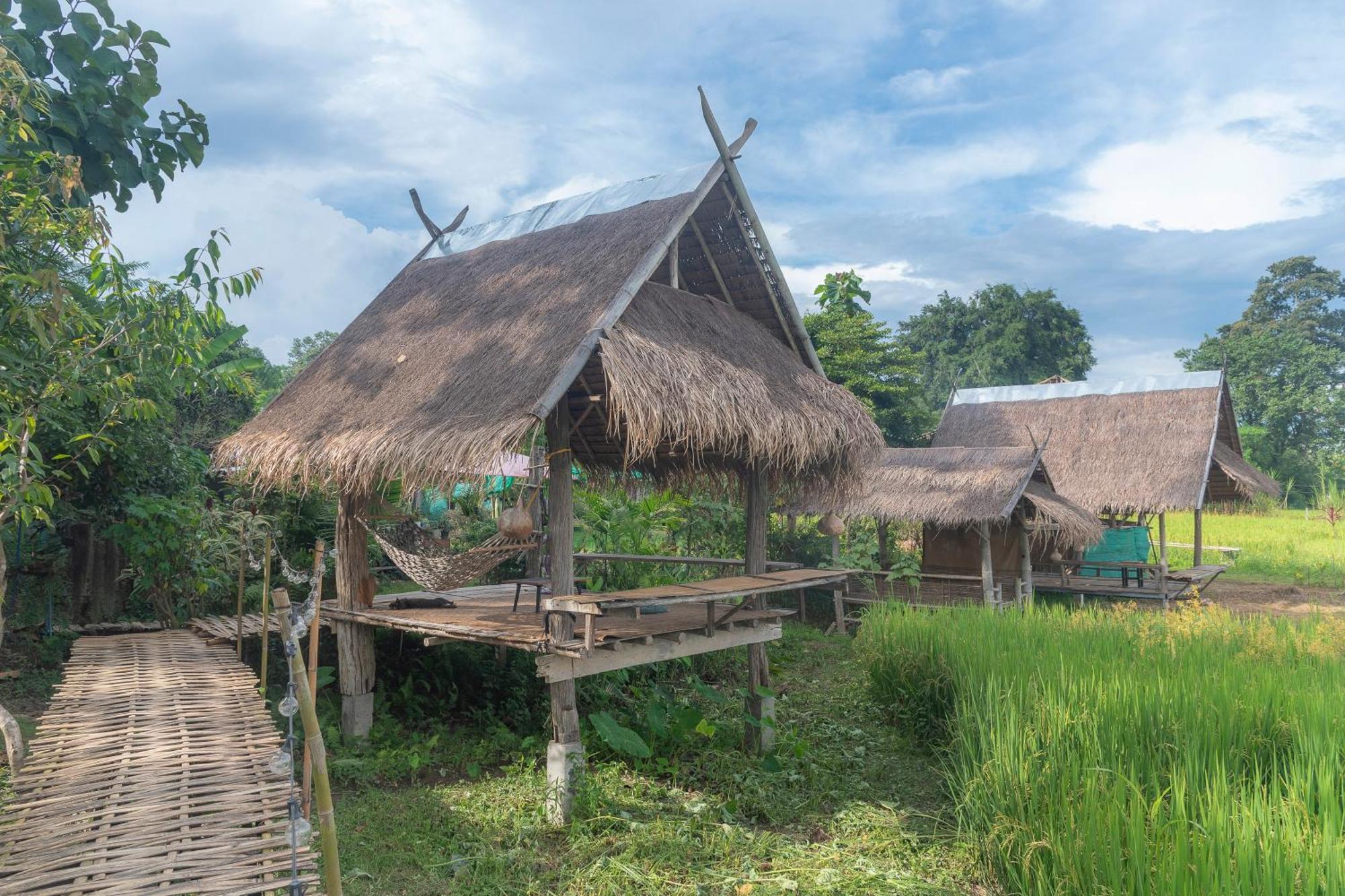 Hotel Paddy Fields Haven - Natures Nest à Pai Extérieur photo