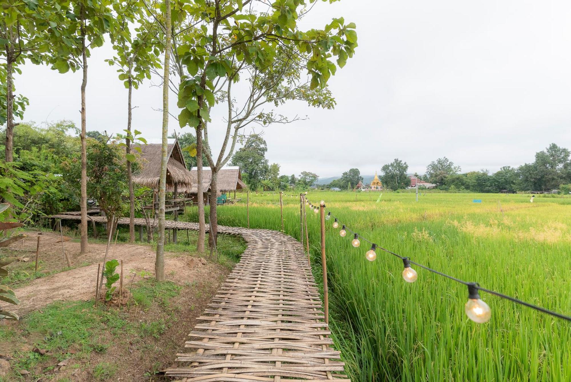 Hotel Paddy Fields Haven - Natures Nest à Pai Extérieur photo