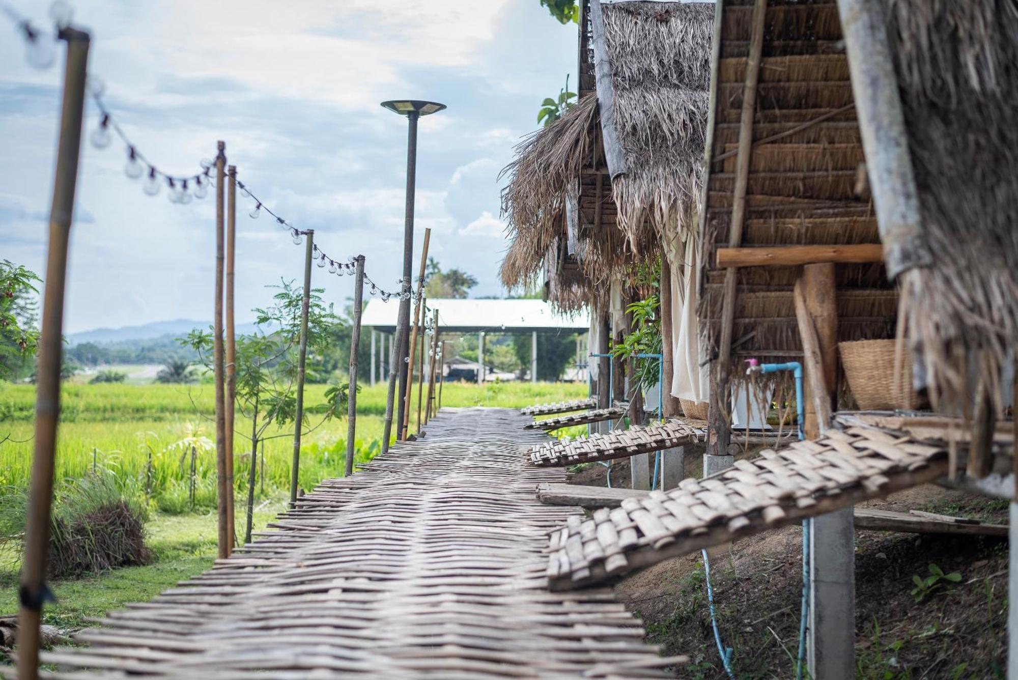 Hotel Paddy Fields Haven - Natures Nest à Pai Extérieur photo