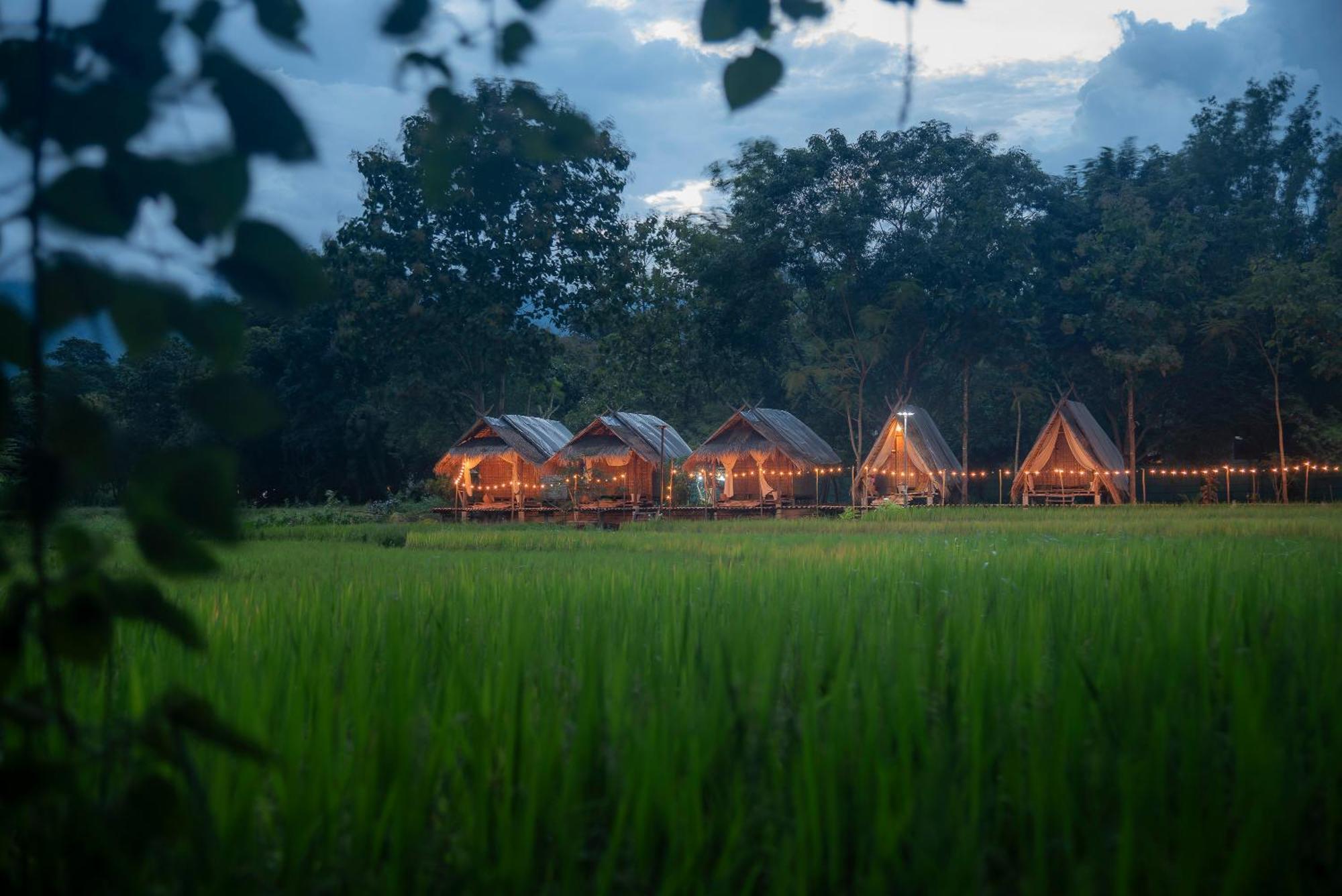 Hotel Paddy Fields Haven - Natures Nest à Pai Extérieur photo