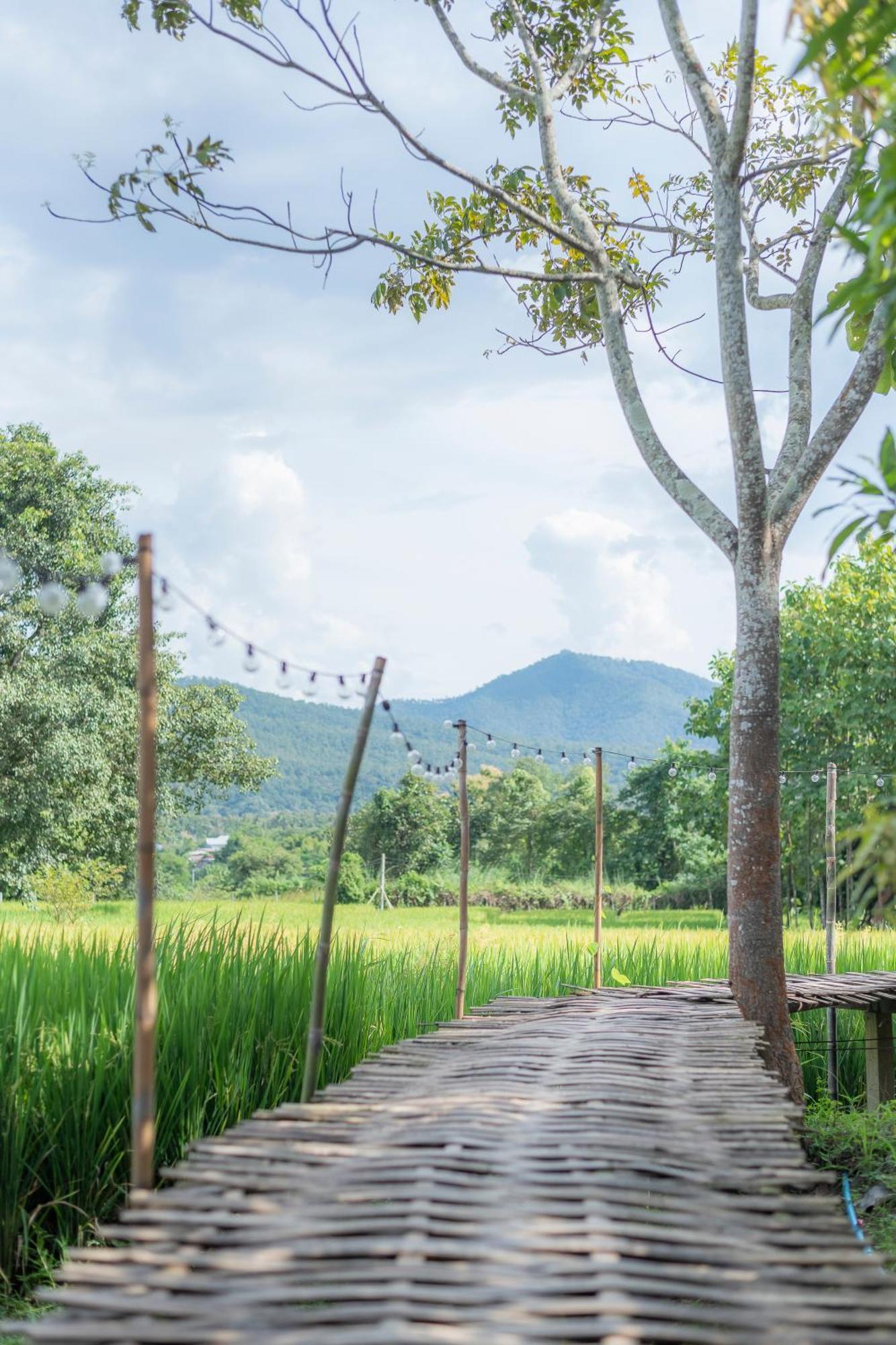 Hotel Paddy Fields Haven - Natures Nest à Pai Extérieur photo