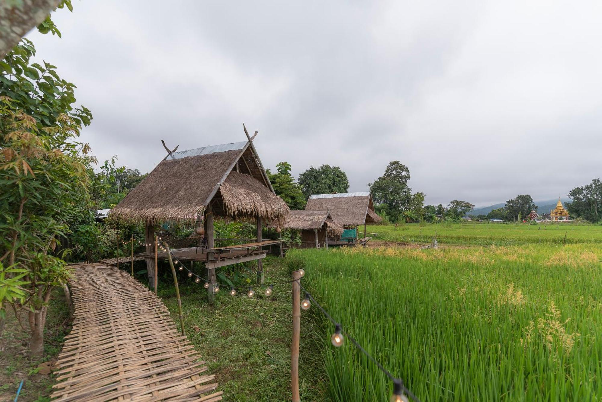 Hotel Paddy Fields Haven - Natures Nest à Pai Extérieur photo