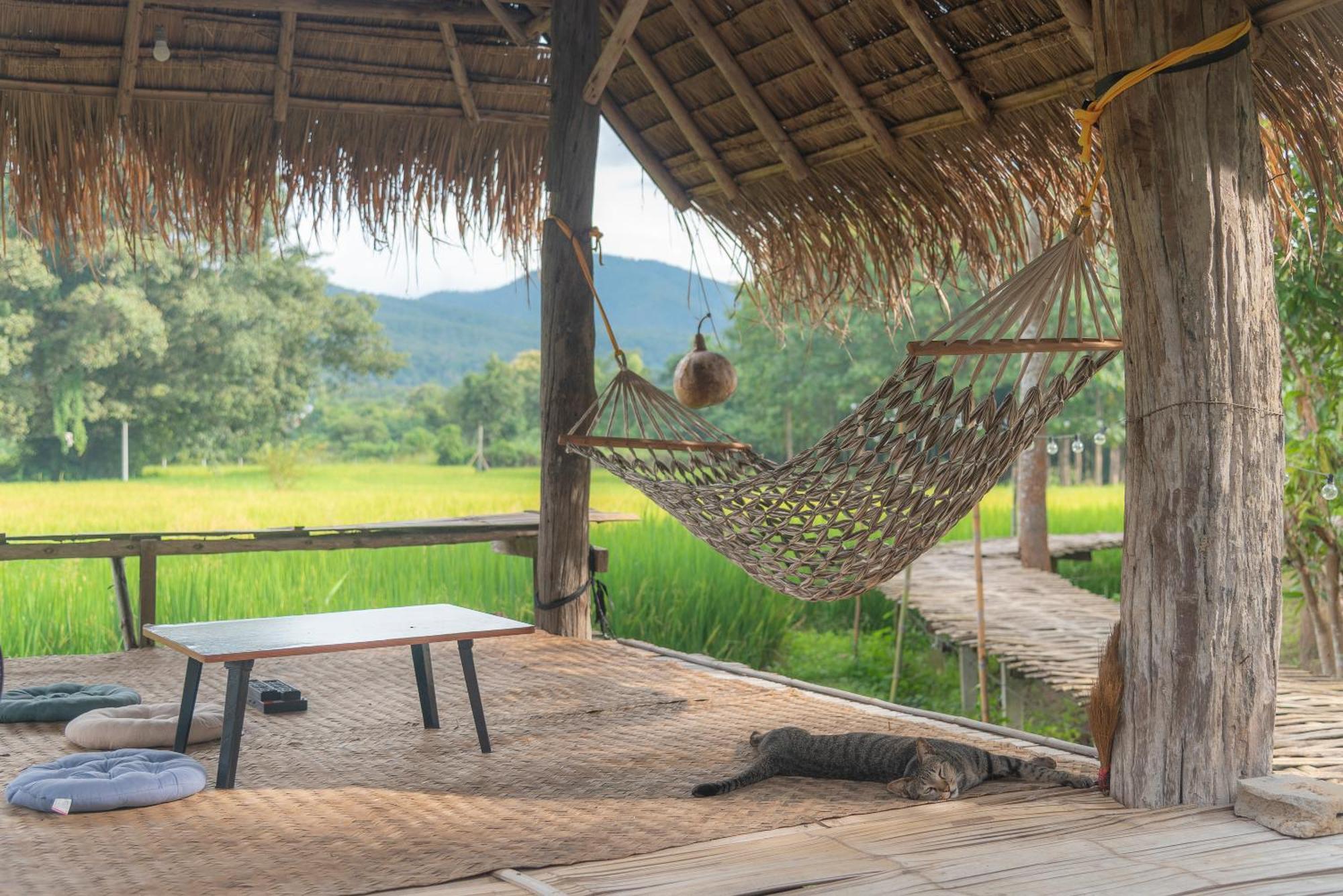 Hotel Paddy Fields Haven - Natures Nest à Pai Extérieur photo