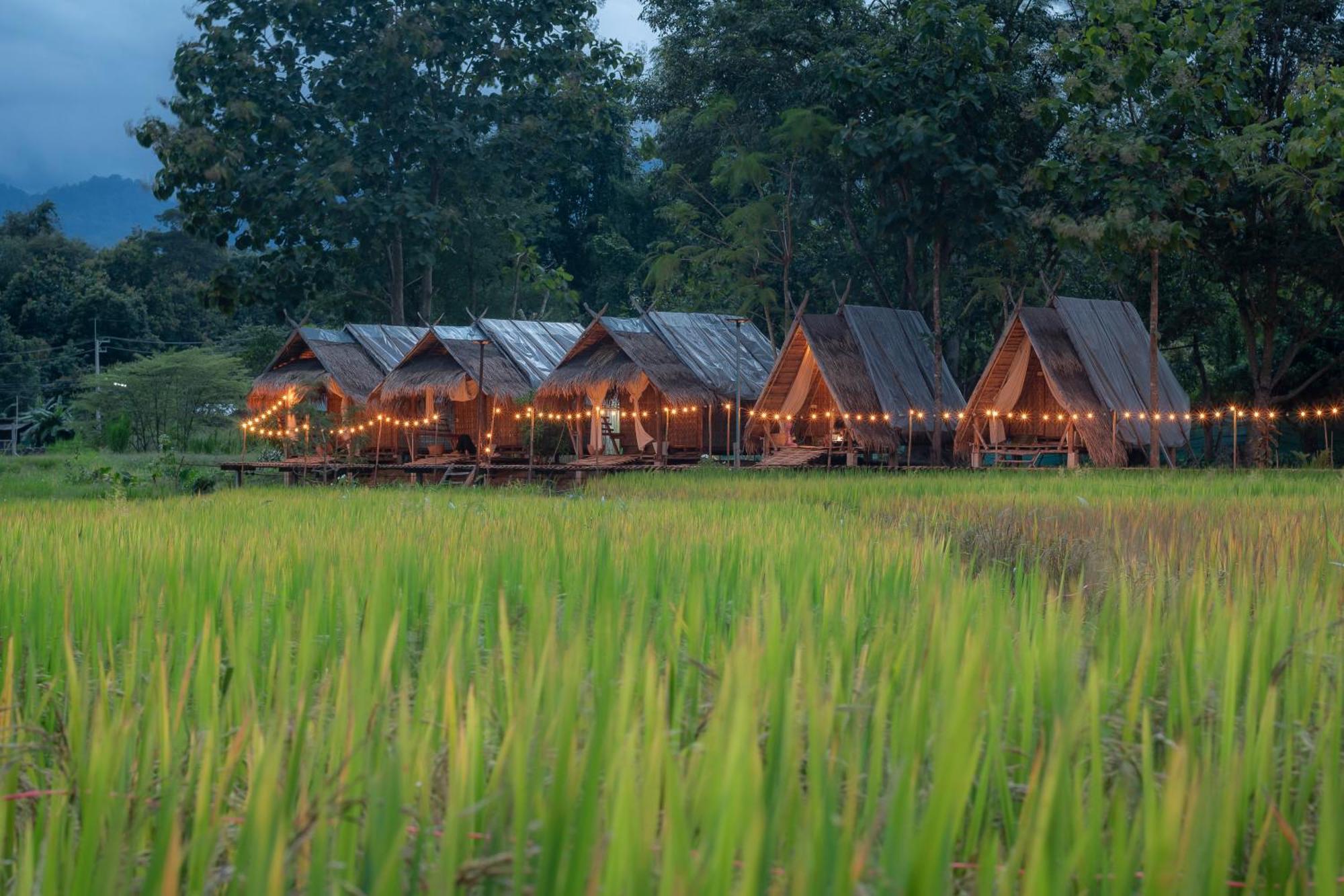 Hotel Paddy Fields Haven - Natures Nest à Pai Extérieur photo