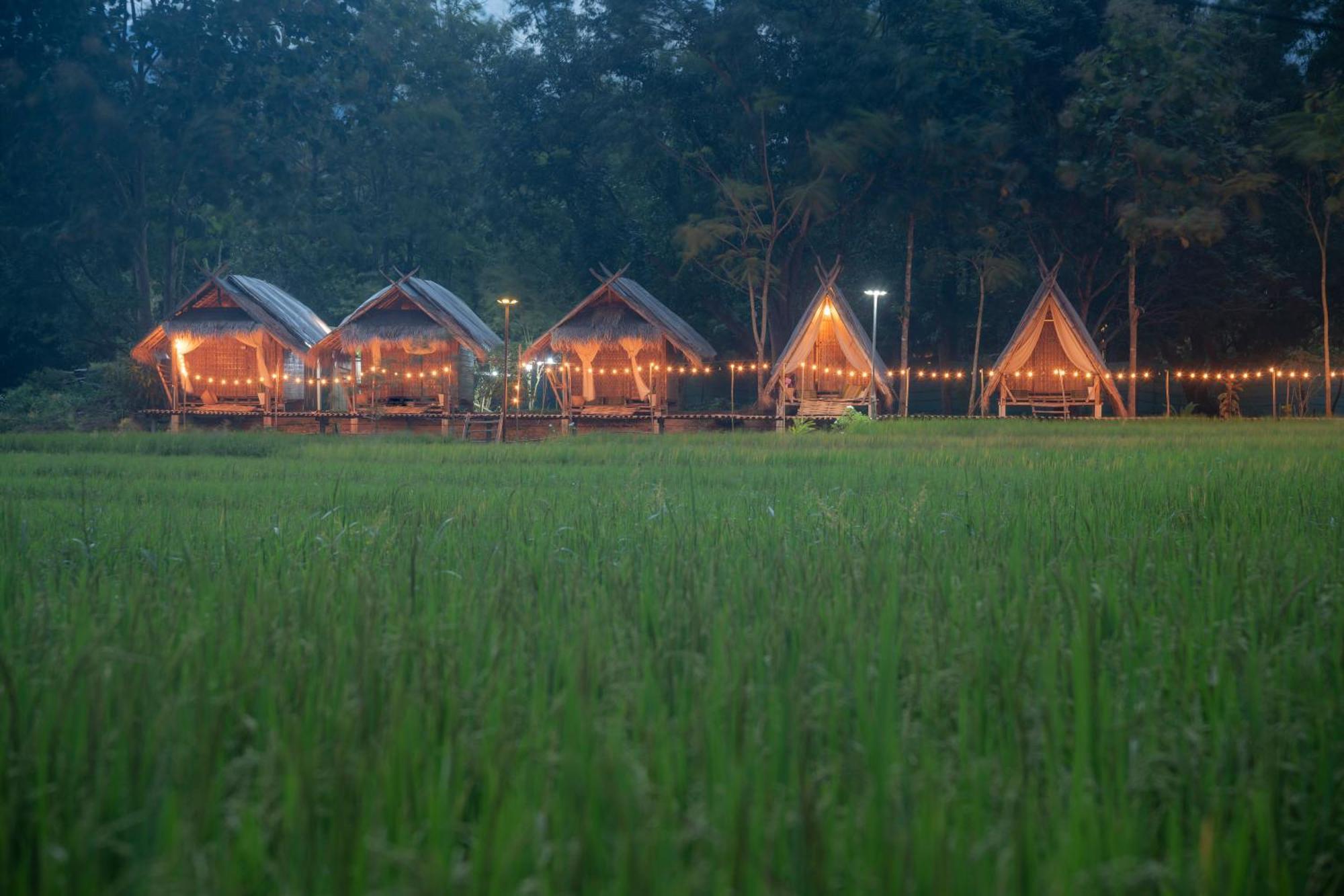 Hotel Paddy Fields Haven - Natures Nest à Pai Extérieur photo